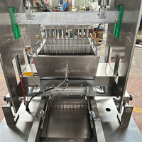 Fruitgummi snoepmachines, zoete chocolade en zachte snoepmachines