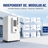 Gabinete Modular de Almacenamiento de Energía BESS LiFePO4 de 125kW 241kWh para Uso Comercial e Industrial, Integración con Proyectos EPC y PCS Externos