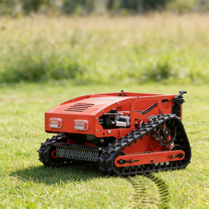 Productos Más Vendidos: Mini Cortacésped Robótico a Control Remoto con Orugas, Puede Equiparse con Quitanieves - Product Image 2