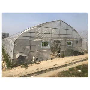 Large Agricultural Tunnel Mushroom Greenhouse For Sale