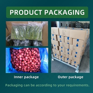 Sơn Đông Đông Lạnh Tươi Hành Tây Xanh IQF Đông Lạnh Hành Tây Mùa Xuân - Product Image 4