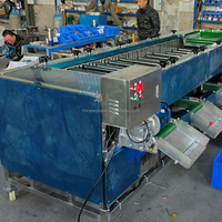 8-10t/u Kleine Kiwi-Komkommer Sorteermachine Automatische Abrikoos-Granaatappel Sorteermachine Pecannoten Rolgraderingsmachine