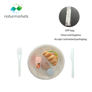 Eco friendly Disposable biodegradable CPLA ice cream cutlery set travel utensils set knife fork spoon