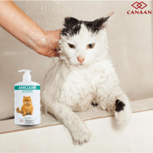 แชมพูแมวเป็นมิตรกับสิ่งแวดล้อมใช้ในห้องน้ำแชมพูแมวลูกแมว - Product Image 6