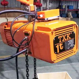 Txk 500Kg DHS Mini Electric Chain Hoist dengan Impor Rantai Beban