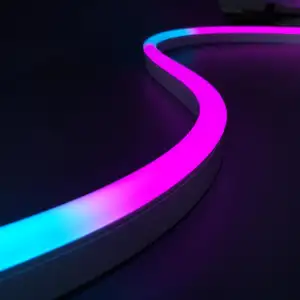 neon tali lampu strip Suppliers-Setrip Lampu Neon LED RGB DC12 V/24V, Lampu Tali LED Multiwarna Tahan Air Penawaran Khusus untuk Dekorasi Pesta