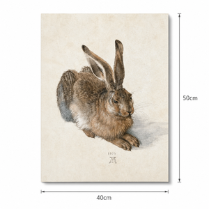 Reproducción famosa de Albrecht Dürer, Cuadro de Conejo, 40*50cm, Decoración para el Hogar, Arte de Pared en Lienzo - Product Image 2