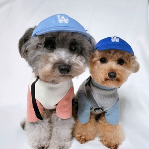 Casquette de baseball originale en forme d'ours en peluche pour chien, chapeau pour chien en coton uni, accessoire vestimentaire pour animaux de compagnie, pour l'extérieur, Noël, Halloween - Product Image 3