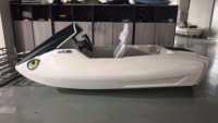 Bateau/Kayak/Kart en rotomoulage composite PEPC de qualité compétition, à double moteur et double batterie, haute technologie, vente en gros