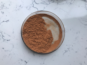 Chất Chống Oxy Hóa Tự Nhiên 98% Polyphenol Trà Xanh Polyphenol - Product Image 4