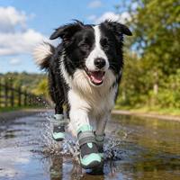 Chaussures pour chien en caoutchouc réfléchissant haute visibilité, imperméables, pour l'extérieur, avec semelle antidérapante, design ferme, toutes saisons