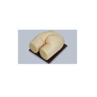 Outil d'enseignement médical pour modèle d'injection de fesses en silicone Real Feel pour l'apprentissage de l'anatomie L'apparence de l'image est authentique