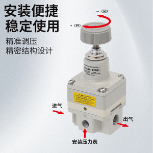 IR2000-02BG เครื่องควบคุมแรงดันความแม่นยำสูง พอร์ตขนาด 1/4 นิ้ว สำหรับแก๊ส อุณหภูมิปกติ ผลิตในประเทศจีน - Product Image 2