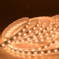 Bande lumineuse LED haute tension 220v Ac110 230v Smd2835 60leds 120leds IP66 67 Étanche Bande lumineuse 50m 100m Rouleau