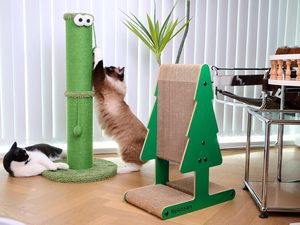 Grand griffoir <span class=keywords><strong>d</strong></span>'<span class=keywords><strong>intérieur</strong></span> de couleur verte écologique avec poteau enveloppé de sisal pour chats et chatons de grande taille - Product Image 6