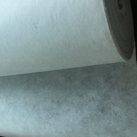 Support de broderie facile à utiliser, pour l'industrie des broderie, doublure intercalaire avec fil adapté