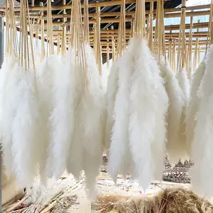 L Boho Wedding Arrangement Decor Long Plumes Preserved Pink Beige Reed Pampasgras Bleached White Fluffy Large Dried Pampas Grass