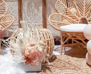 La chaise à fleurs en rotin de paon, chaise de jardin intérieure et extérieure, café, balcon et fournitures d'hôtel