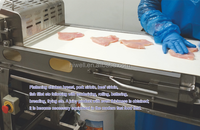304 Automatique en acier inoxydable machine à aplatir pour steak alimentaire