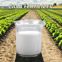 Agrinorm Usine Vente en Gros Engrais Liquide Calcium Bore de Haute Qualité, Élément Moyen 100% Soluble dans l'Eau pour l'Agriculture