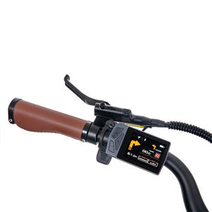 Bicicleta Eléctrica Urbana con Asistencia al Pedaleo, 7 Velocidades, Cuadro de Fibra de Carbono, Batería de Litio de 48V 250W 9.6Ah, Estándares Estadounidenses - Product Image 3