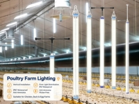 Lampes de grange LED T12, 28W, suspension verticale, rouge + blanc commutable, 360° °   Angle de faisceau pour élevage avicole