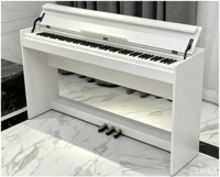 Piano Digital Standar 88 Velocity B105 PVC Motif Kayu 800 Nada 600 Ritme Fungsi USB MIDI MP3