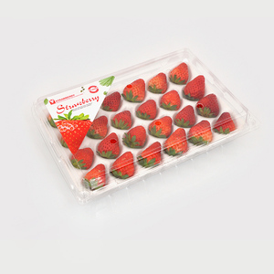 Bandeja de plástico transparente desechable <span class=keywords><strong>para</strong></span> fresas Caja de exhibición de embalaje de concha de 24 celdas <span class=keywords><strong>para</strong></span> <span class=keywords><strong>frutas</strong></span> de granja - Product Image 1