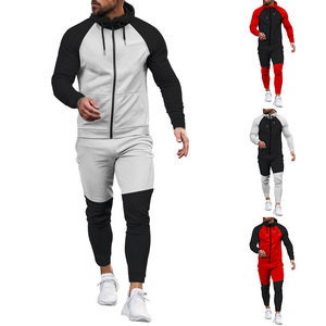 Factory Wholesale Custom Logo Embroidered Spandex/Cotton Solid Patchwork Two-Piece Autumn Men's Sweat Suits Hoodies Tracksuits - Product Image 2
