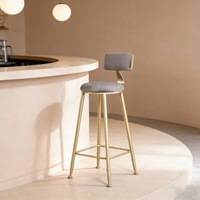 Tabouret de bar moderne de style nordique, luxe léger, en métal, avec dossier haut, pour mobilier de bar, usage commercial, maison, café, cuisine, restaurant, comptoir