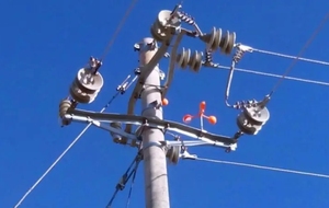 Máy phát điện gió nhanh quay chim răn đe acceossry Chim Sẻ/chim bồ câu/Vẹt đẩy lùi cho vườn cây ăn quả/trang trại/lưới điện - Product Image 6