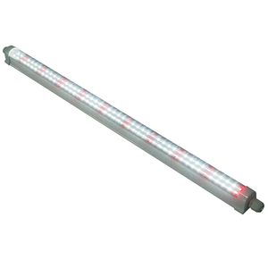 Premium IP66 sous auvent 120W LED élèvent des lumières LM301H <span class=keywords><strong>Evo</strong></span> + LM281B + Osraman Red 4ft Tube Lightsfor Dense Indoor Plant Canopy - Product Image 4