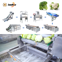 CE-gecertificeerde kool-schilmachine, snijmachine, wasmachine, industriële coleslaw-verwerkingsmachine, lijn voor het reinigen van paarse kool