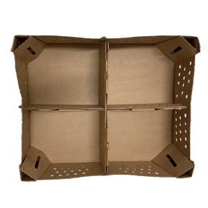 Caja de transporte de pollitos de un día, dividida, transporte de cartón, para transporte de aves - Product Image 6