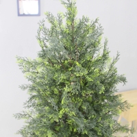 Cycar artificiel au toucher réaliste, arbres vert, cèdre avec coffre en bois naturel