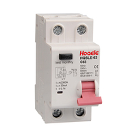 Disjoncteur HOQele DZ30-LE TPNL à boîtier moulé 230V 2P Mini en plastique pour usage domestique, capacité de coupure 4kA, 50/60Hz, courbe C, montage sur rail DIN