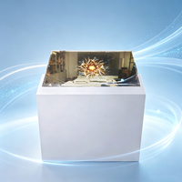Afficheur numérique OLED transparent personnalisable de 55 pouces avec une résolution de 1920x1080 pour la publicité dans les ascenseurs, les centres commerciaux et les métros