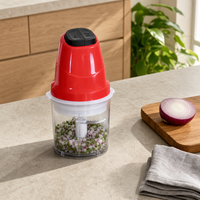 Hachoir à ail puissant personnalisé pour la cuisine, hachoir à salade, mini hachoir à viande électrique portable