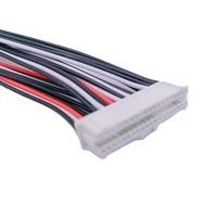 Maßgefertigte JST Dupont Hirose Molex FC 1.0 1.25 1.5 2.0 2.5mm Abstand 2/3/4/5/6/7/8/10 Steckverbinder Kabelbaum Kabelkonfektion