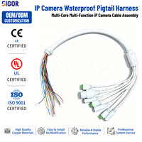 Cable Pigtail Impermeable IP66 para Cámara IP, PVC/PTFE, RJ45, DC Audio, RS485, Arnés de Red de Alarma I/O para Sistemas de Seguridad CCTV