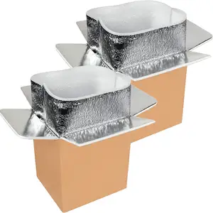 Boîtes en carton de conservation et de transport des aliments à double couche de la chaîne du froid avec doublure de sac isolant en aluminium vente en gros