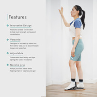 Planche d'entraînement pour pieds et chevilles en bois d'érable et caoutchouc pour Pilates, soulagement de la fascia plantaire, correction de la force des membres inférieurs, portable