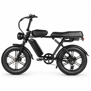 CEMOTO 750W 전기 자전거 유압식 디스크 브레이크 시티 전기 자전거, 부드러운 일상 통근을 위한 프론트 서스펜션 탑재 - Product Image 2