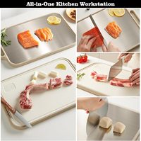 Planche à découper anti-moisissure en acier inoxydable pour cuisine domestique avec support, poignée, broyeur d'ail, double face PP SS304
