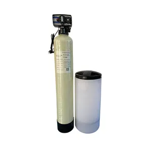 Advanced Multiport Water Treatment Softener with Auto Control
