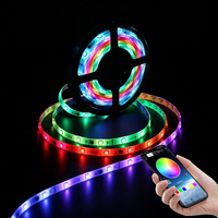 Dream Color 10m RGBIC LED Strip WS2812b Aplicación de teléfono Sincronización de música Efecto de iluminación direccionable Control de voz para píxeles LED Roomset