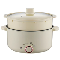 Casserole électrique multifonctionnelle pour la maison, mini-cuiseur à nouilles pour les étudiants en résidence, idéal pour les supermarchés et les plats à emporter