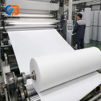 Géomembrane composite géotextile avec tissu non tissé anti-infiltration, feuille durable pour réservoir, décharge sanitaire, étang
