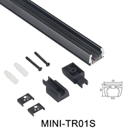 Rail lumineux LED moderne en aluminium, mini, à montage en surface, avec rail magnétique pour plafond et connecteurs de rail conducteurs