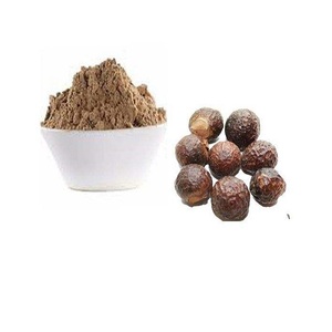 Polvo de Aritha de Alta Calidad, Grado Alimenticio Premium, Extracto Herbal, Textura Fina, para Empaque de Exportación a Granel - Product Image 4